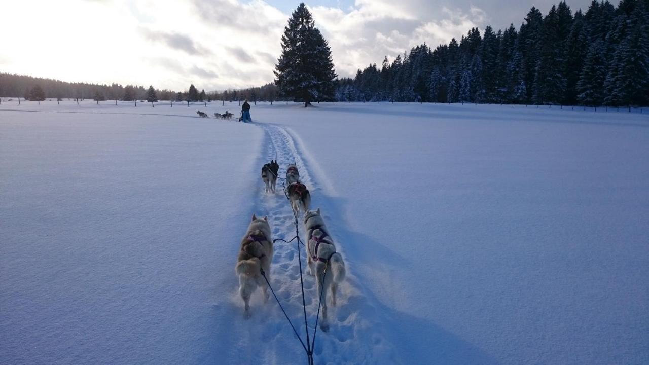 Apartmán Vent_Du_Nord Tramelan Exteriér fotografie