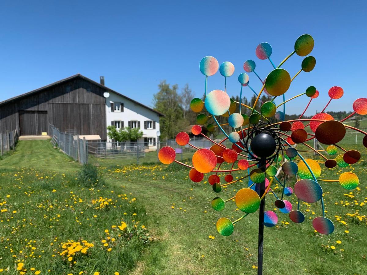 Apartmán Vent_Du_Nord Tramelan Exteriér fotografie